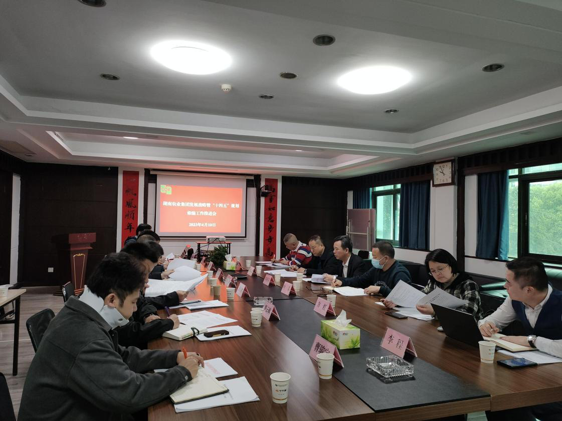 湖南糧油集團召開湖南農(nóng)業(yè)集團“十四五”規(guī)劃糧油進出口板塊修編工作推進會